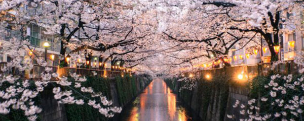 voyage au Japon