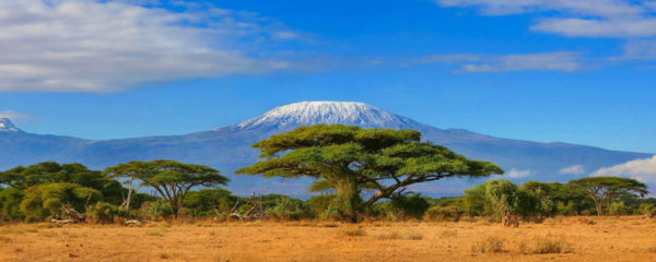Kilimanjaro