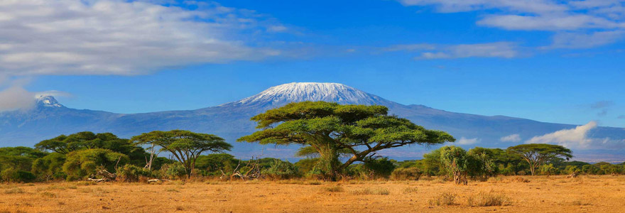 Kilimanjaro